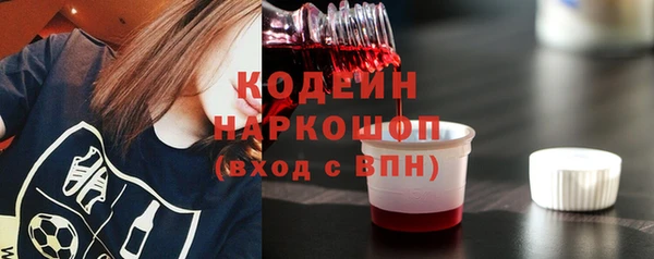 сатива Заводоуковск
