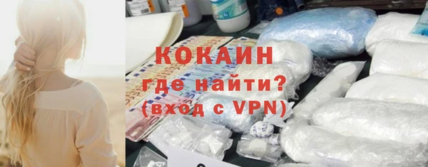 сатива Заводоуковск