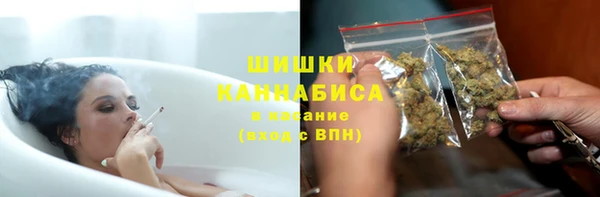 сатива Заводоуковск
