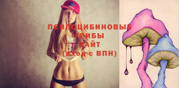 сатива Заводоуковск