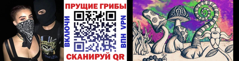 как найти   Карпинск  Псилоцибиновые грибы мицелий 